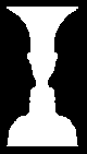 Vase Illusion